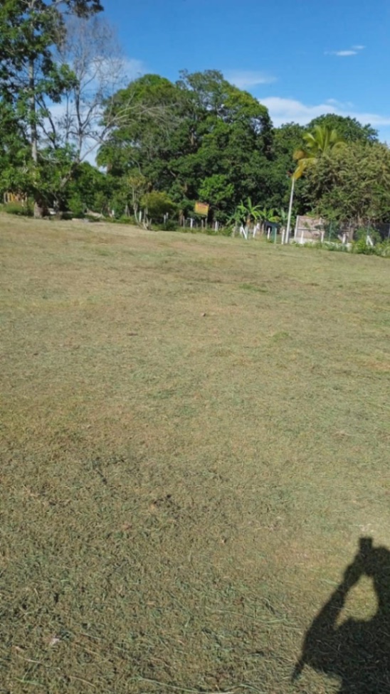 Cl. 134, Ibagué, Tolima, Colombia 5